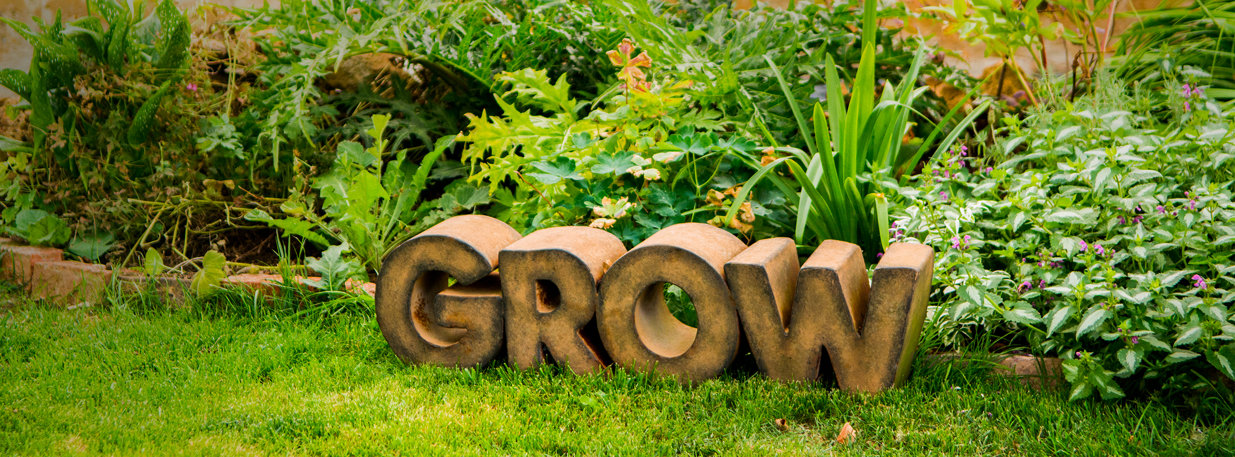 grow